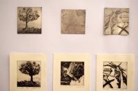 Звонко Шостар - ретроспектива графика