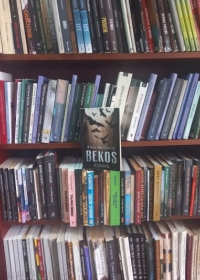 Najčitanija građa u februaru