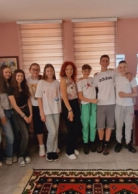 Стручно предавање „Упознај виртуелну библиотеку“